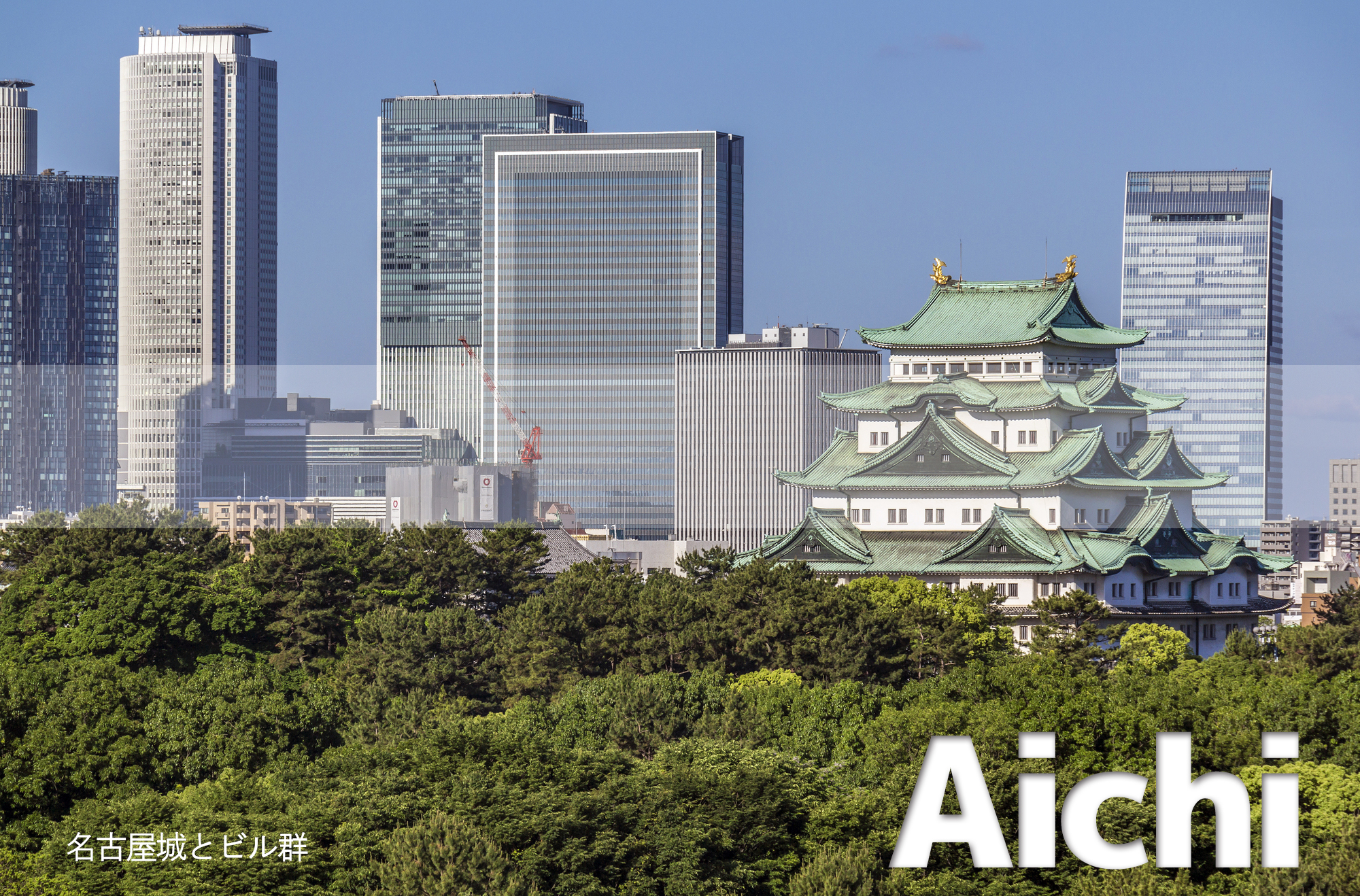 名古屋城とビル群